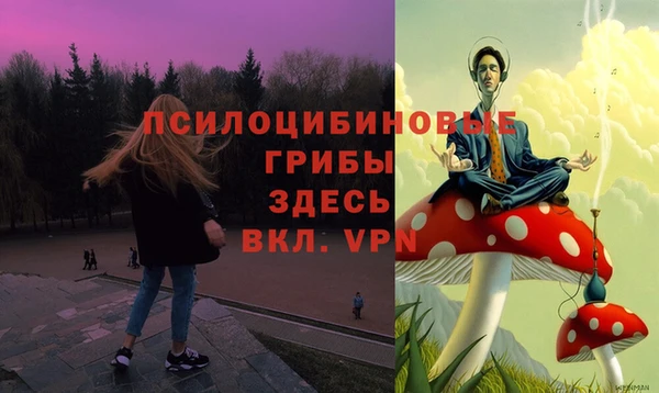 индика Алзамай