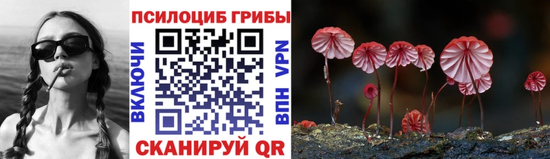 продажа наркотиков  Заполярный  Галлюциногенные грибы мухоморы 