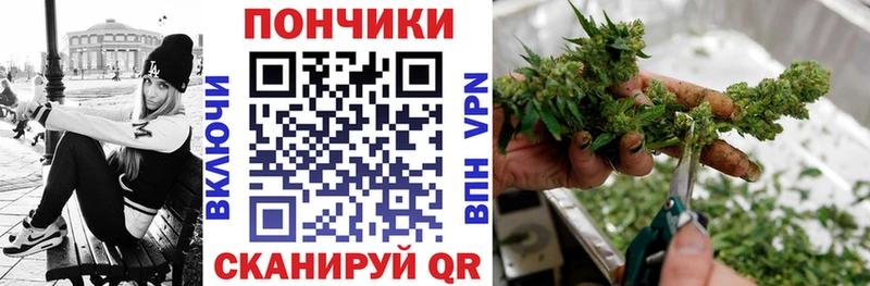 MEGA зеркало  Заполярный  даркнет какой сайт  МАРИХУАНА сатива 